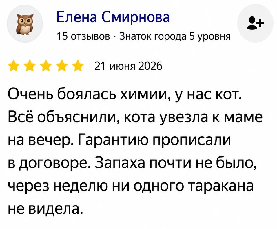 Отзыв Елены Смирновой на Яндекс Картах